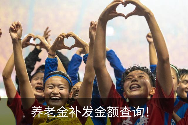 养老金补发金额查询！